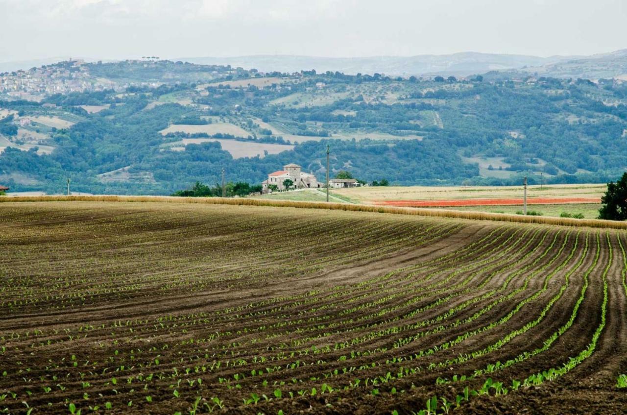 San Giorgio del Sannio Country Relais La Torretta Baronale 게스트하우스 외부 사진